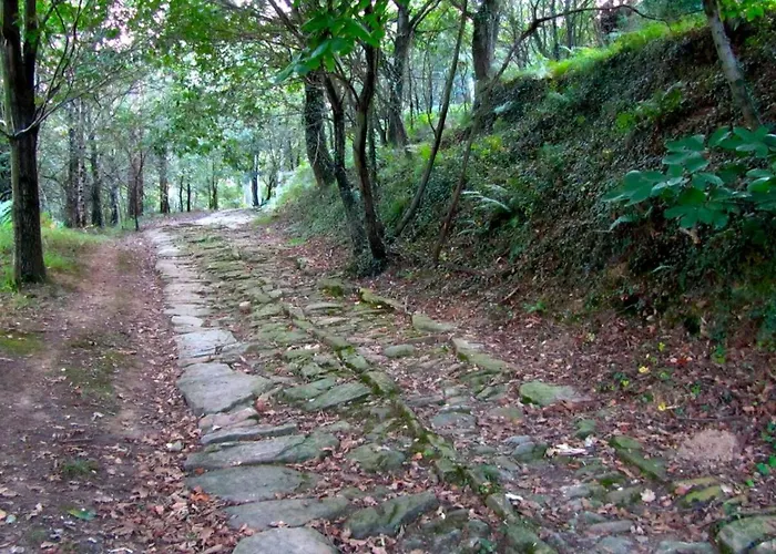 Bed & Breakfast Etxaluze *