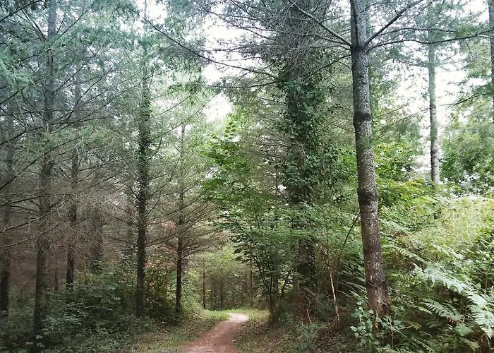 Etxaluze * Ormaiztegui